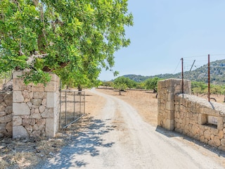 Villa Pollensa Environment 36