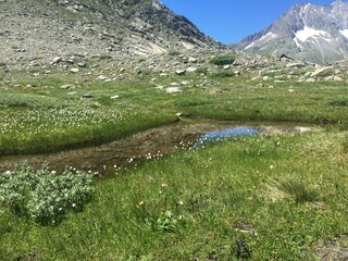 Moor beim Märjelensee