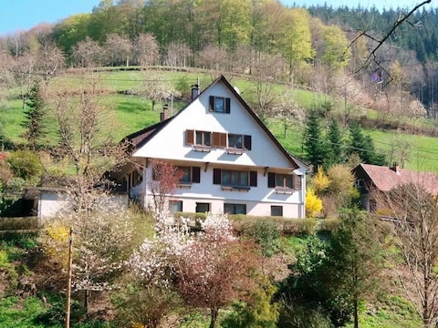 Ferienhaus Hof Busems - mit Garten, Terrasse, Billiard