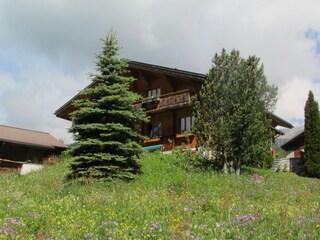 Ferienwohnung Grindelwald Außenaufnahme 7