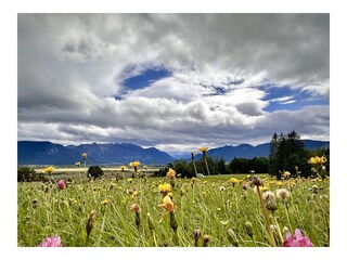 Natur