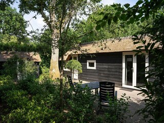 Vakantiehuis Uddel Buitenaudio-opname 2