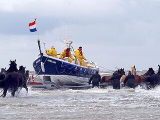 Appartamento Nes Ambiente 17