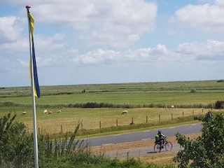 Appartement Nes Buitenaudio-opname 6