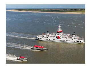 Appartement Nes Omgeving 15