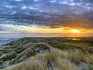 Apartment Nes Dokument 29