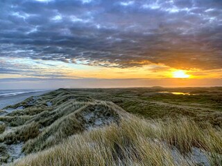 Appartamento Nes Documento 29