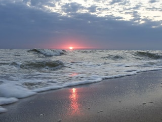 Appartement Nes Omgeving 23