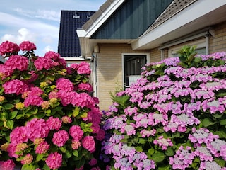 Apartment Nes Außenaufnahme 4