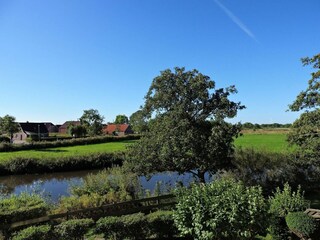 Gartenblick