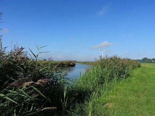 Gartenblick