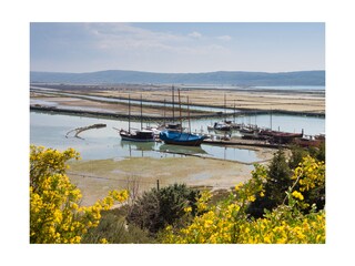 Salt pans of Secovlje