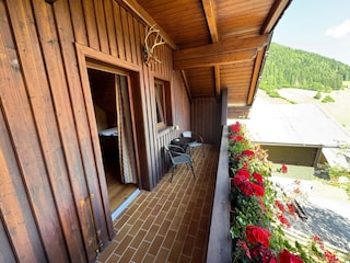 Villa Bad Kleinkirchheim Outdoor Recording 5