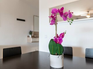 Apartment San Pedro de Alcantara Außenaufnahme 10