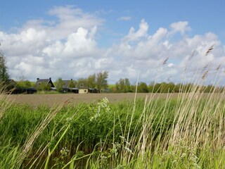 Villa Koehool Outdoor Recording 4