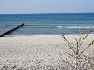 Ostseestrand in Börgerende