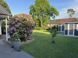 Blick in den Garten
