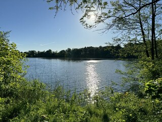 Kiessee