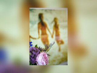 Appartement Cadzand-Bad Kenmerken 15