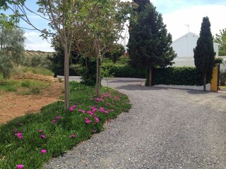 Type de propriété : Chalet Antequera Enregistrement extérieur 10