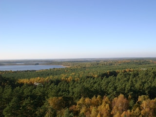 Müritz Nationalpark - 5 min entfernt