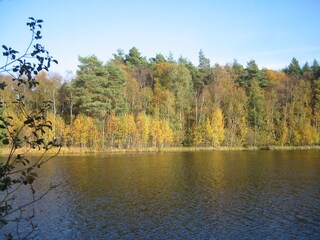 Wienpitschseen
