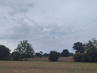 Feldblick