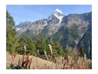 Appartamento per vacanze Wiler Ambiente 35