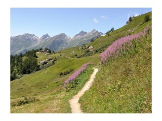 Appartamento per vacanze Wiler Ambiente 37