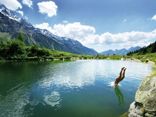 Appartamento per vacanze Wiler Ambiente 38