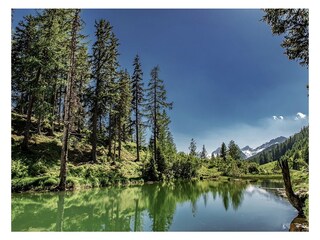 Appartamento per vacanze Wiler Ambiente 40