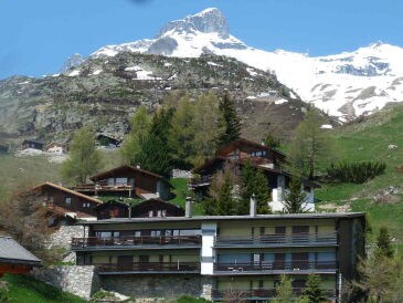 Ferienwohnung Hockenhorn 4 two families