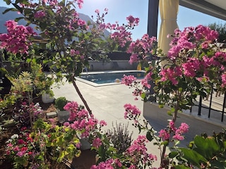 Villa Sarigerme Umgebung 9