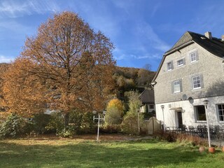 Blick vom Garten