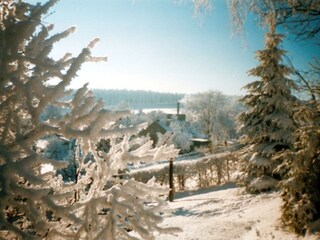 Grundstück im Winter