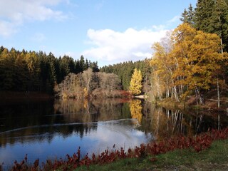 Badestausee Schönheide