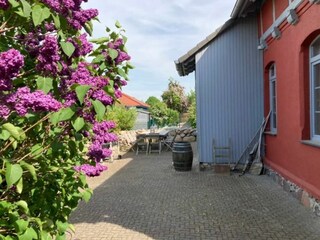 Ferienhaus Rostock Außenaufnahme 7