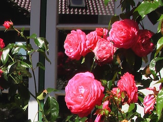 Maison de vacances Schleidörfer  30
