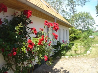 Maison de vacances Schleidörfer Environnement 8
