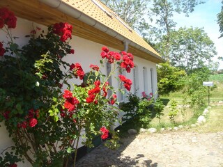 Vakantiehuis Schleidörfer Omgeving 8