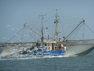 Fahrt mit dem Fischkutter