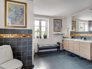Ferienhaus Snedsted  24