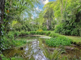 Villa Camelford Environment 17