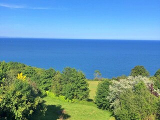 Holiday house Shaldon Environment 27