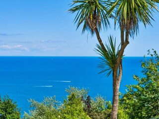 Holiday house Shaldon Environment 29