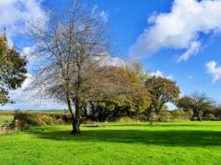 Holiday cottage Dolton Outdoor Recording 6