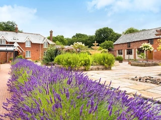 Holiday cottage Ottery St Mary Environment 17