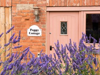 Holiday cottage Ottery St Mary Outdoor Recording 2