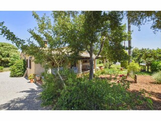 Type de propriété : Chalet Pollensa Enregistrement extérieur 19
