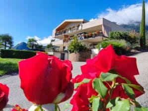Ferienhaus Natur